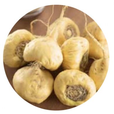 Maca Root